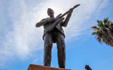 chapala mike laure biography