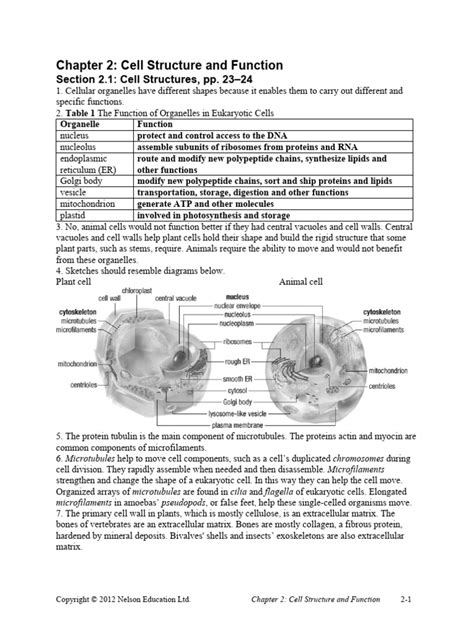 Chaper 2 Study Guide Answer Key
