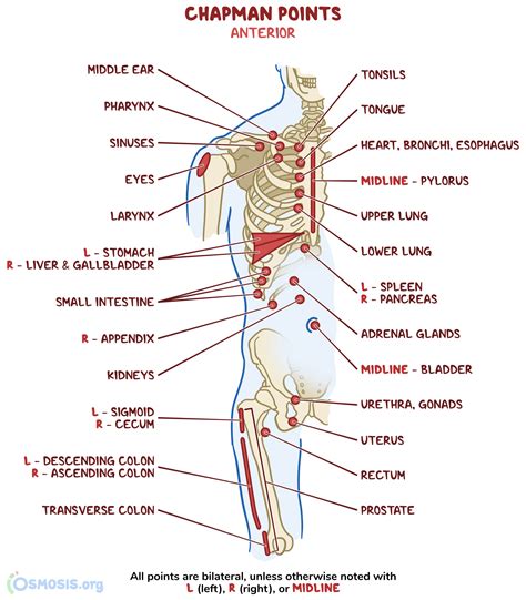 Chapmans Points On Comlex