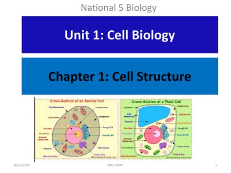 chapter 1 cell structure and function answer key