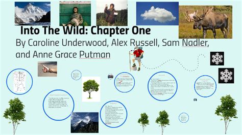 Chapter 1 Into The Wild Summary