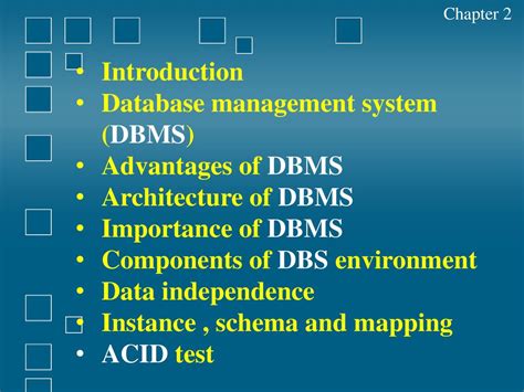 chapter 1 introduction database management system dbms