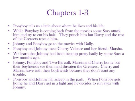 Chapter 1 Summary The Outsiders