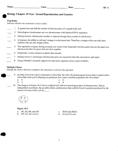 Chapter 10 Biology Test Prentice Hall