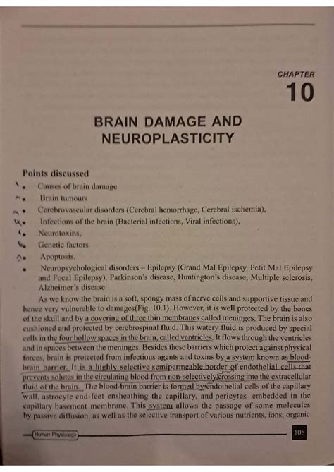 Chapter 10 Brain Damage And Neuroplasticity Rcrutcherfo