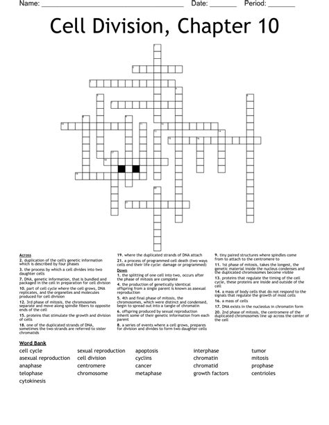 Chapter 10 Cell Division Crossword Answers