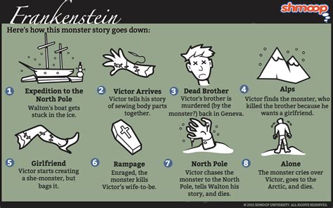 Chapter 10 Frankenstein Summary