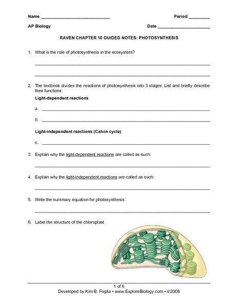 Chapter 10 Guided Notes Photosynthesis Answers Soup