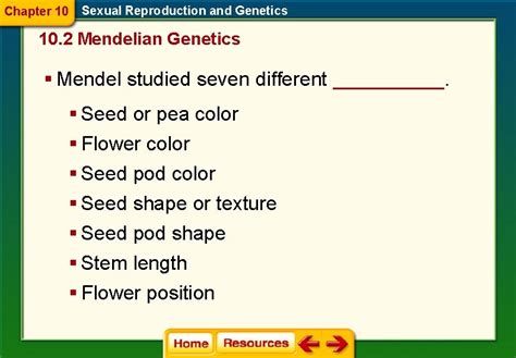 Chapter 10 Section 2 Mendelian Genetics Key