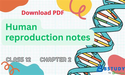 Chapter 11 2 Notes Human Activity And Climate Change