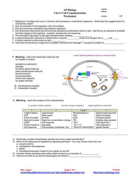 Chapter 11 Cell Communication Ap Biology Reading Guide Answer