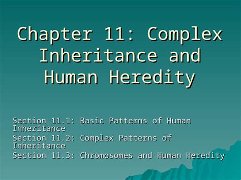 Chapter 11 Complex Inheritance And Human Heredity Worksheet Complex Inheritance Patterns Worksheet Answers - Complex Inheritance Patterns Worksheet Answers