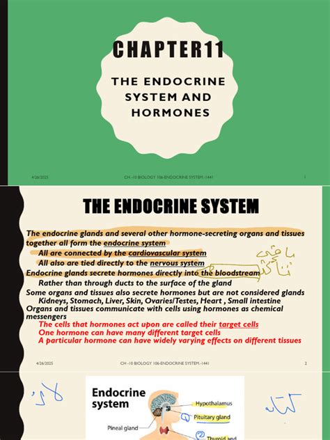 Chapter 11 Endocrine System 11 1 Introduction