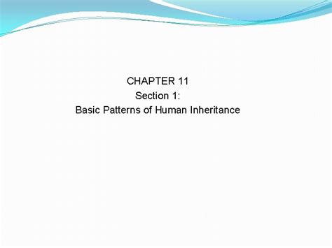 Chapter 11 Section 1 Basic Patterns Of Human Inheritance Study Key