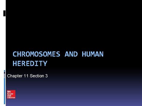 Chapter 11 Section 3 Chromosomes And Human Heredity