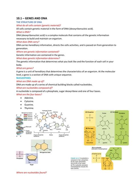Chapter 11 Study Biology