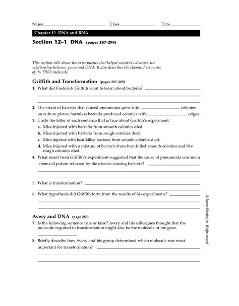 Chapter 12 1 Dna Answers