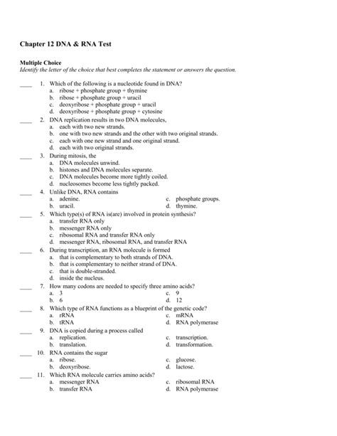 Chapter 12 Biology Test Dna And Rna