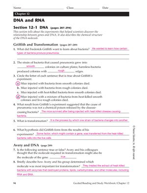 Chapter 12 Dna Answer Key