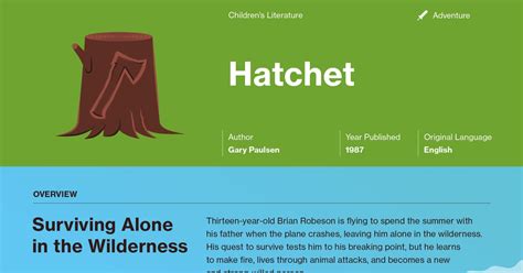 Chapter 12 Hatchet Summary
