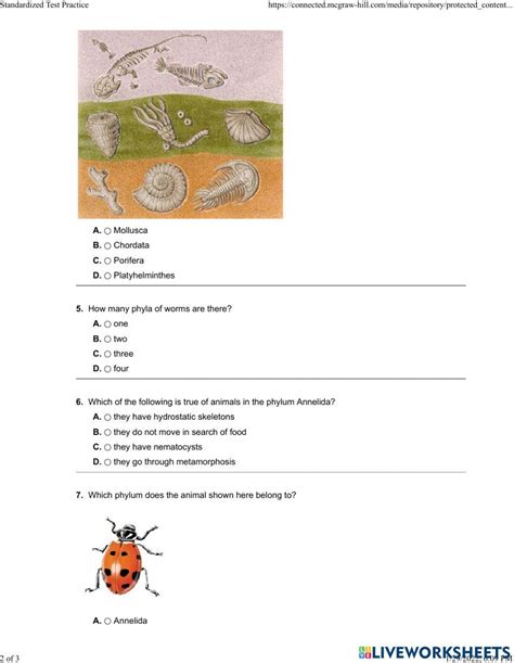 Chapter 12 Introduction To Animals Ms Yorks Science
