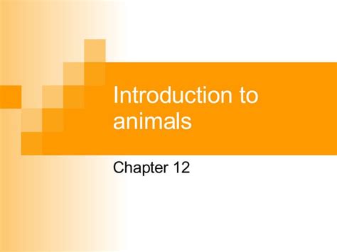 Chapter 12 Introduction To Animals Section 1 Is Introduction To Animals Worksheet Answer - Introduction To Animals Worksheet Answer