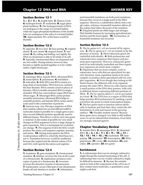 Chapter 12 Molecular Genetics Answers
