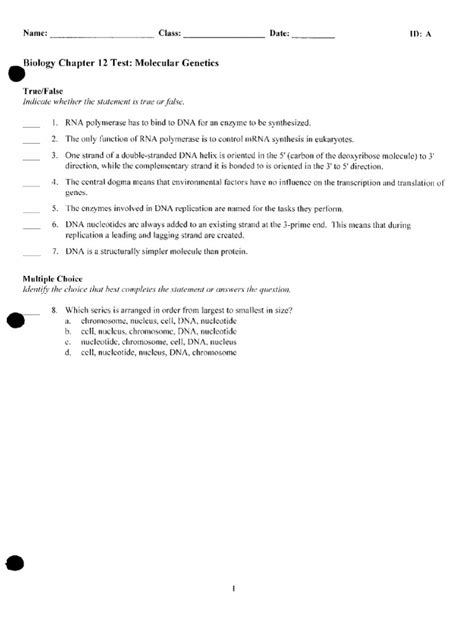 Chapter 12 Molecular Genetics Test Answers