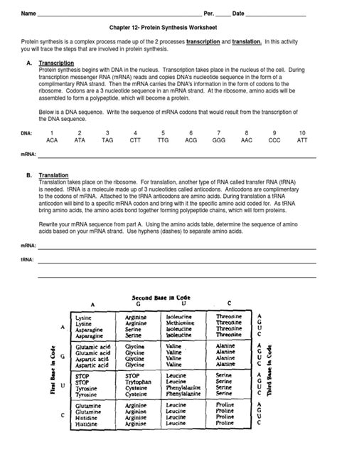 Chapter 12 Protein Synthesis Worksheet