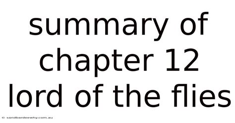 Chapter 12 Summary Lord Of The Flies