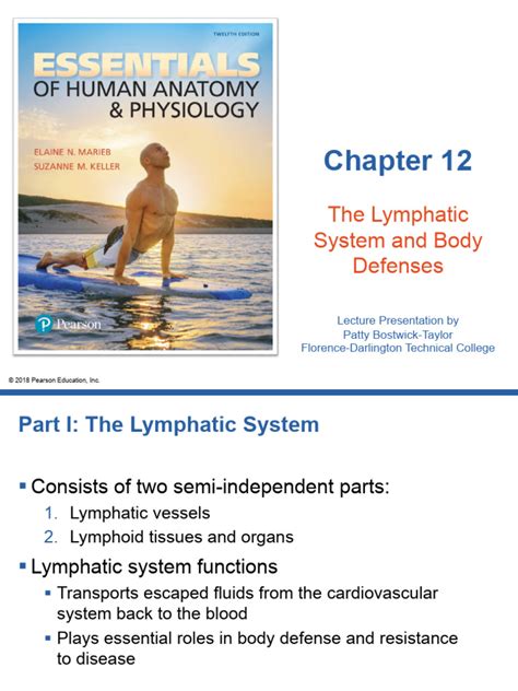 Chapter 12 The Lymphatic System And Body Defenses Answer Key