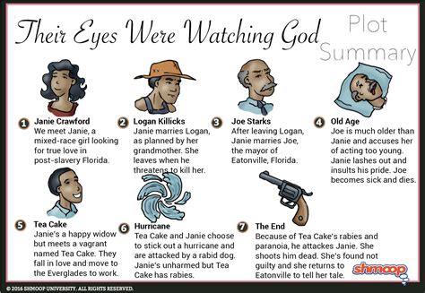 Chapter 12 Their Eyes Were Watching God