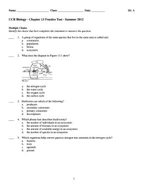 Chapter 13 Biology Test Answer Key