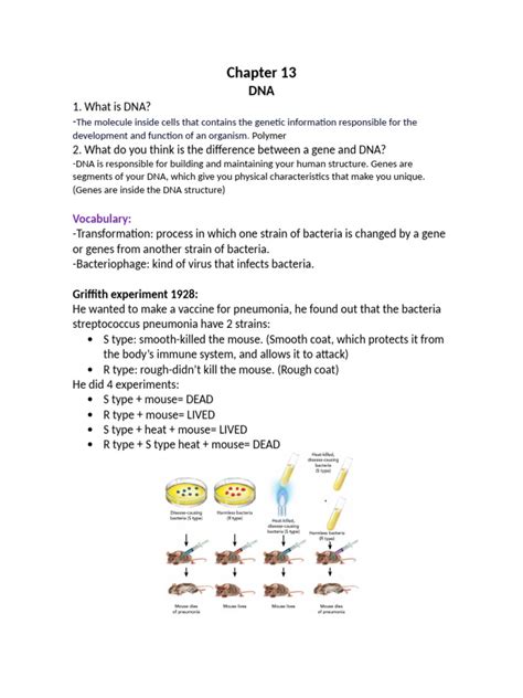 Chapter 13 Lab From Dna To Protein Synthesis Answer