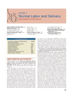 Chapter 13 Normal Labor And Delivery