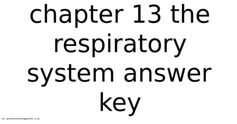 chapter 13 respiratory system answer key