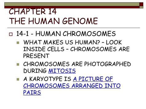 Chapter 14 3 Human Molecular Genetics Workbook Answers