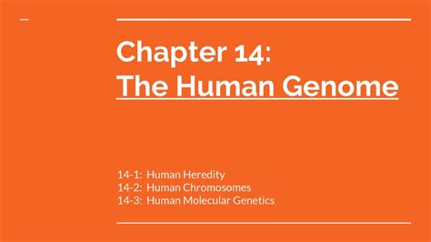 Chapter 14 3 The Human Genome Project Answer Key