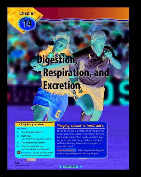 chapter 14 digestion respiration and excretion