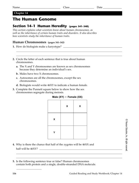Chapter 14 Human Genome Answer Key