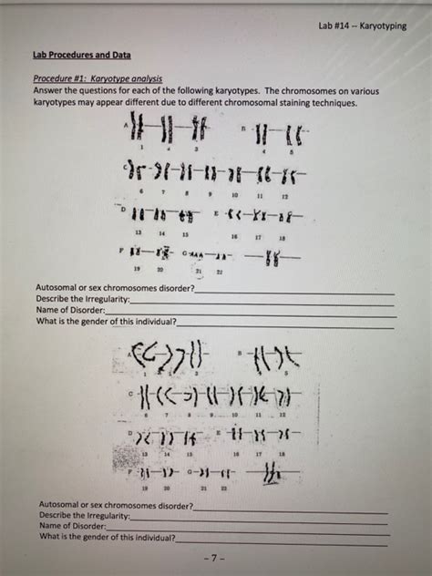 Chapter 14 Making Karyotypes Answer Key