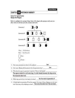 Chapter 14 Patterns Of Heredity Worksheet Answers