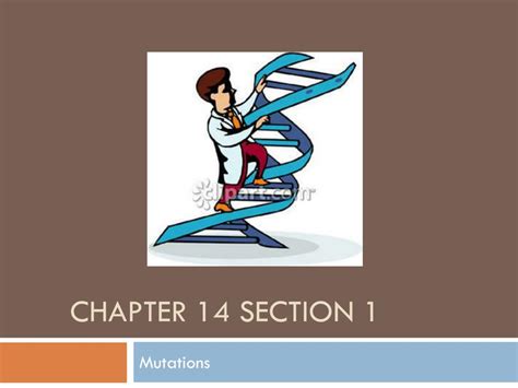 Chapter 14 Section 1 Human Heredity Answer Key