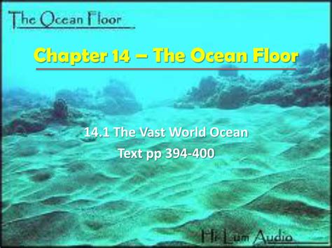 Chapter 14 The Ocean Floor Section 14 2 Ocean Floor Features