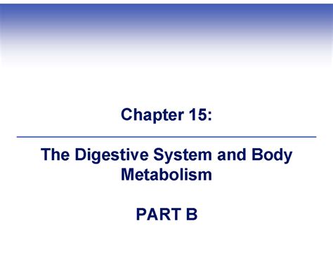 Chapter 15 Digestive System Study Guide Answers