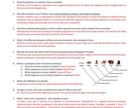 Chapter 15 Evolution Answer Key