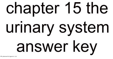 Chapter 15 Urinary System Answer Key