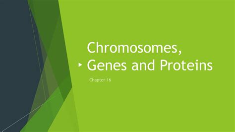 Chapter 16 1 Genes And Variation Answer Pages 393