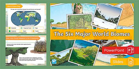 Chapter 16 Biomes 6th Grade Science