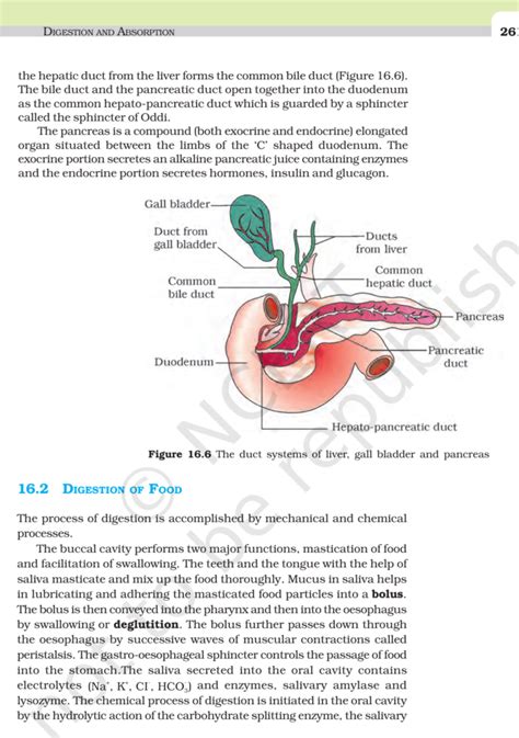 chapter 16 digestion and absorption